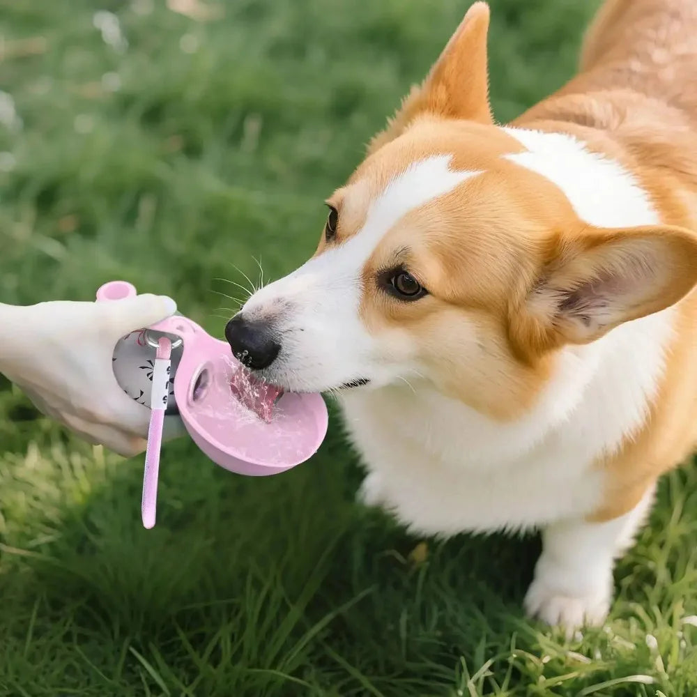 Borraccia Portatile per Animali
