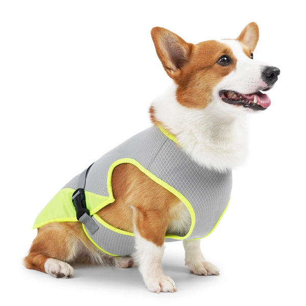 Gilet Rinfrescante Cane