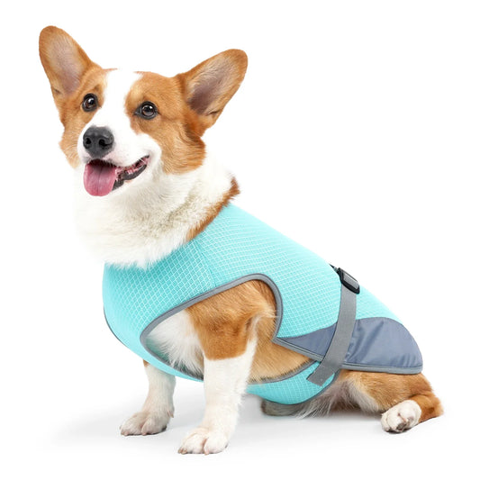 Gilet Rinfrescante Cane