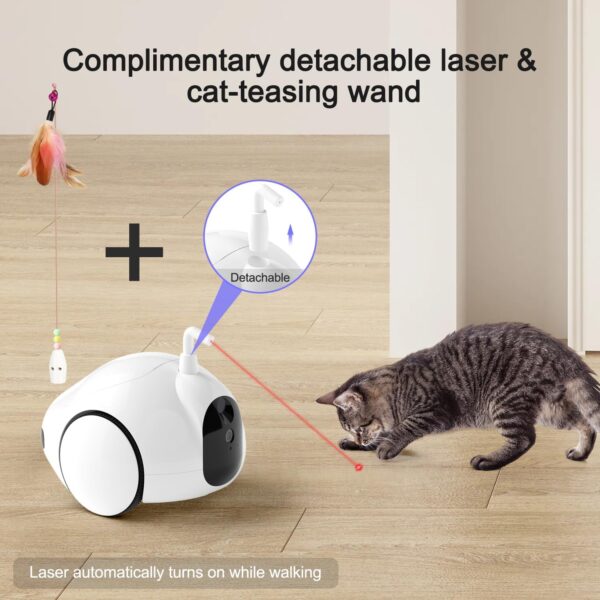 Pet Camera - Image 4