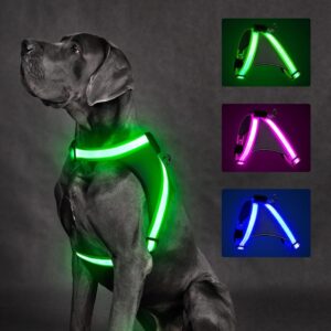 Light Up Dog Harness