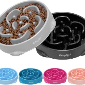 Large Slow Feeder Dog Bowls