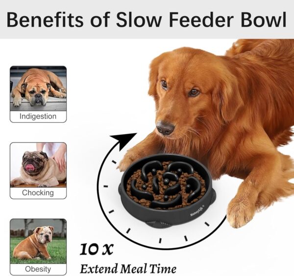 Large Slow Feeder Dog Bowls - Image 7