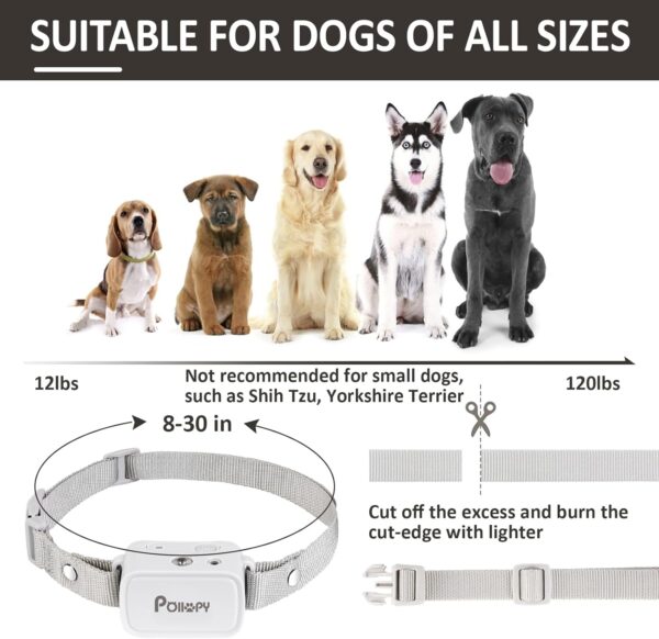 Citronella Dog Collar with Remote - Image 5