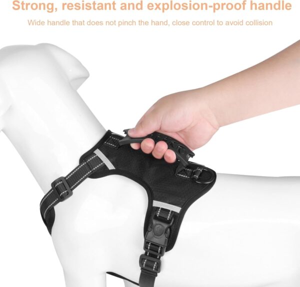 Safety Vest - Image 3