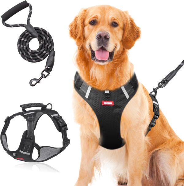 Safety Vest